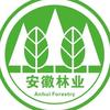 安徽林业