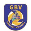 大湾区排球GBV(巨湾体育)