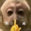 有种面食