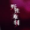 短剧《野性难驯》
