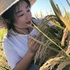刘美娜9号新米五常大米上市26年新米