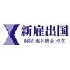 新加坡自雇智囊团
