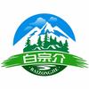 白宗介（新疆旅游）