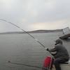 菏泽刘二边🎣爱钓鱼