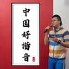 中国好谐音