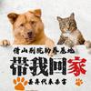 烟台借山别院流浪动物助养中心