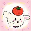 西红柿大王🍅