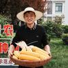 苞谷哥阿杰（农技科普）