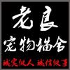 老良猫舍