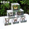 空间美学透明定制