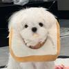永远鱼块Q