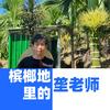 槟榔地里的垄老师
