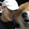 阿瓜攻略👀（主页）