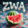zwa撞西瓜SFS