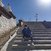 汇之洲。小强