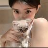 番薯小猫