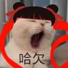 猫meme映像🐾