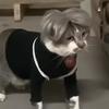 爱坤二号