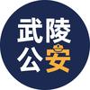 武陵公安