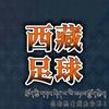 西藏足球