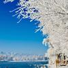 后山觉慧