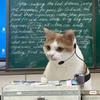 湛江友学春考叶良辰学长