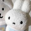 菠萝吹雪www（珠宝版）