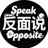 反面说