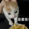 小铭铭铭铭铭