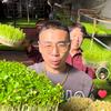 宣化芽苗哥—宝山