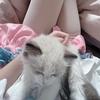 小蒋是猛男