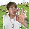 甘肃青年创意旅行社
