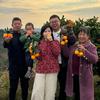 湘妹子在湖北（6号10点甘肃民勤蜜瓜）