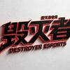 毁灭者电竞(无畏契约)