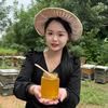 蜜源之蜂姑娘