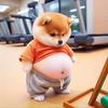 韩剧搬运工