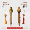 孔老师葫芦丝教学