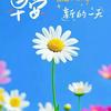 廊坊第五小学智慧岛托管