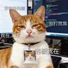小小肥宅