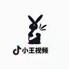 小王视频