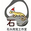 石头爬宠工作室