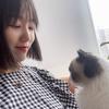 旋子AI营销