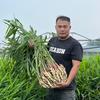 于龙飞（姜农）