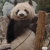 王哈哈
