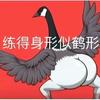 晋升百货店