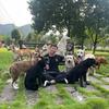 哈尔滨训犬师李教兽