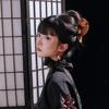 柒柒AI说
