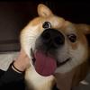 宋温暖