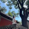🔥紫荆之蝶🔥 ⁹³¹