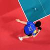 聪明你的乒乓🏓️